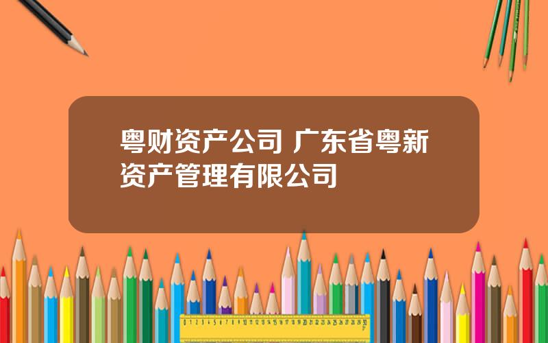 粤财资产公司 广东省粤新资产管理有限公司